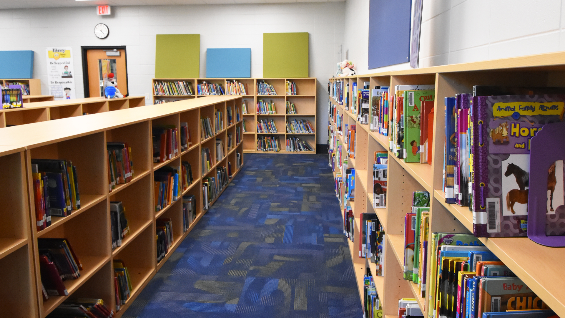 Mill Valley Elem Library-m