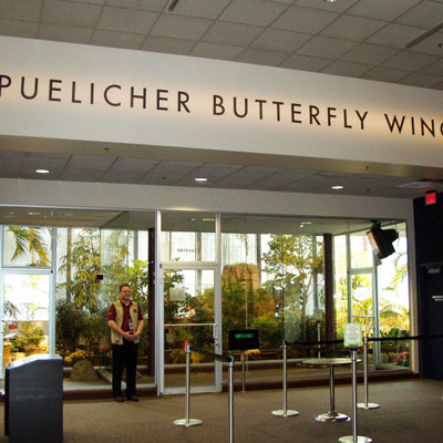 community_milwaukeepublicmuseum-puelicherbutterflywing-1-m