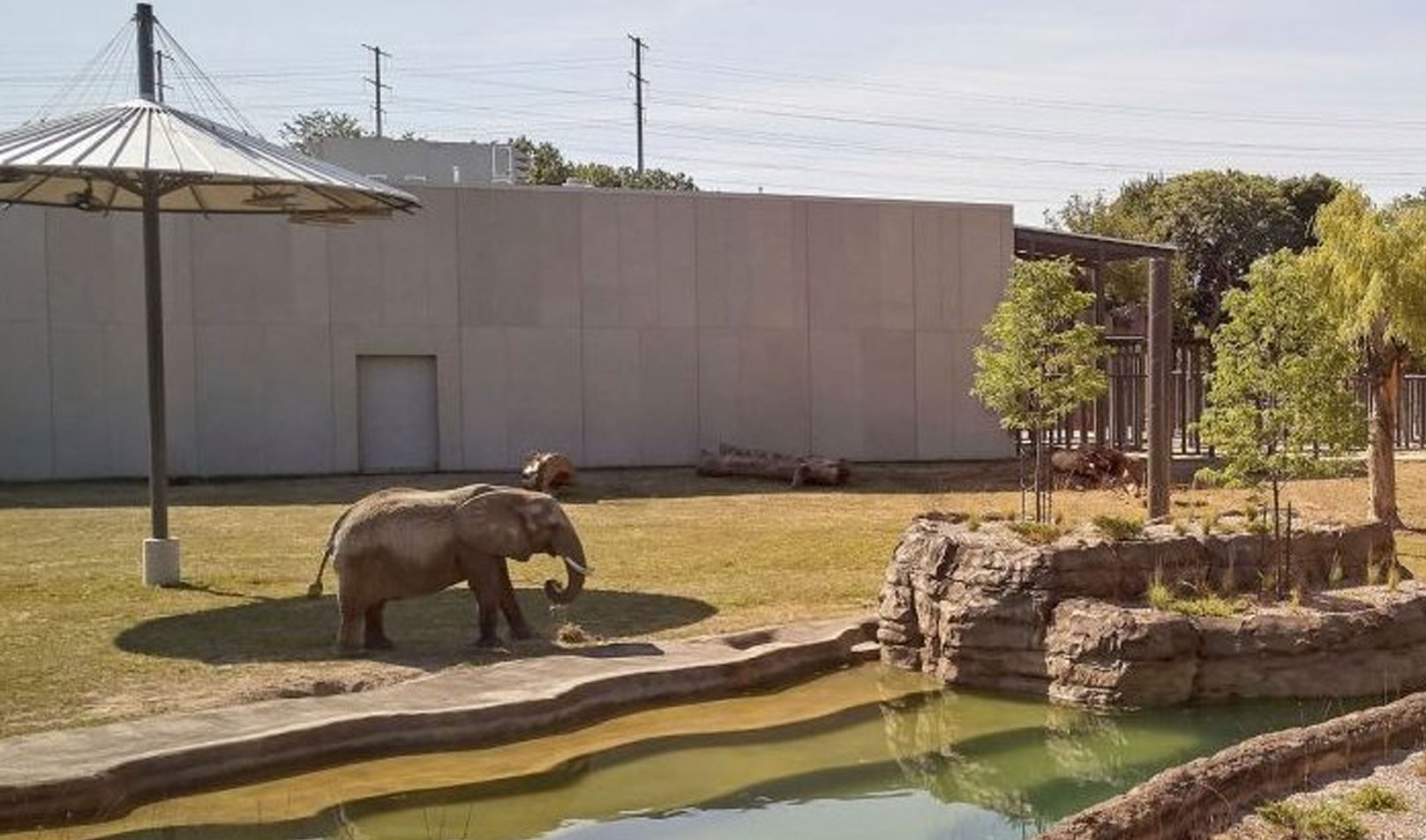 milwaukeezoo_dji_0130-1-e1621971763806